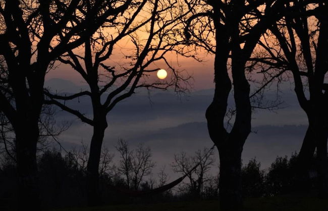 Pet-friendly Farmhouse - Foto 25