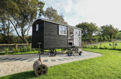 Dragonfly Shepherd's Hut - Photo 2