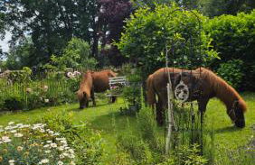 Große Landhaus Wohnung 30 Min bis Hamburg - Foto 19