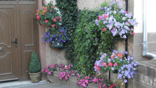 Gîte with views of the Vosges Mountains - Foto 2