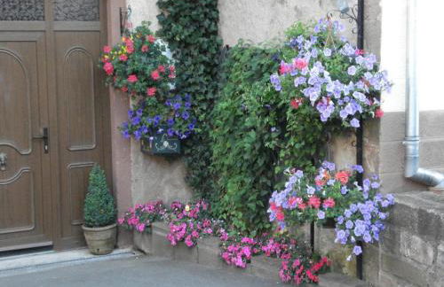 Gîte with views of the Vosges Mountains - Foto 2