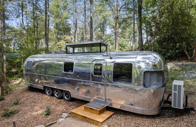 Royal Fern in Pisgah Forest - Foto 27