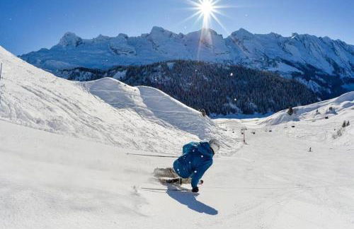 CHALET LYOBA - Photo 27