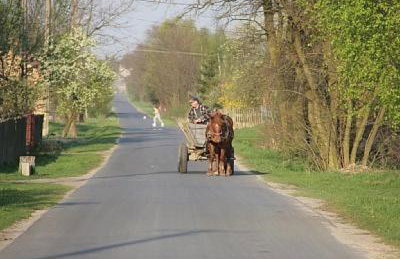 Domek Drewniany - Foto 48