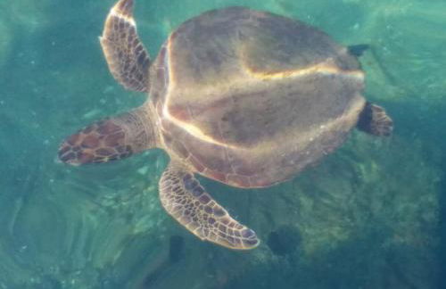 Apartamento 1103 Pé na Areia Angra dos Reis - Foto 28