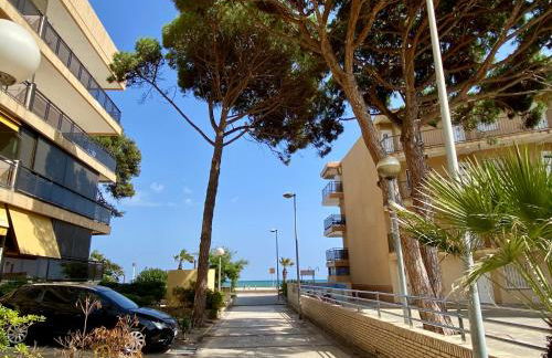 Golden Mexico - Foto 20