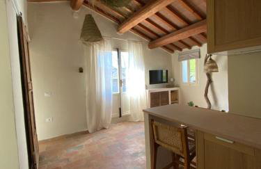 Monte Pino - Photo 11