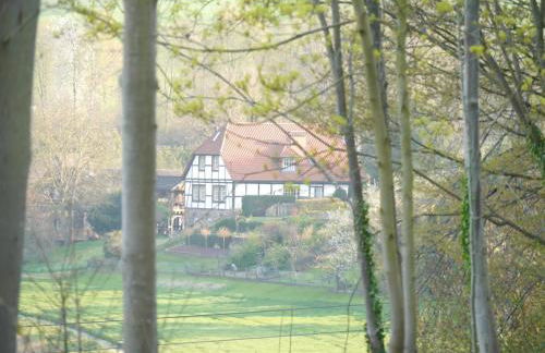 Ferienwohnung Weserblick Polle - Foto 29