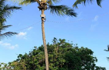 Casa na Rua do Sol, 137, Carmo, Olinda-PE - Foto 69