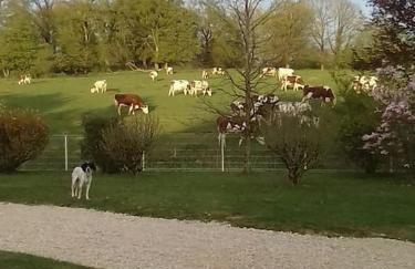 Dépendance pour 1 à 4 pers au calme dans propriété - Foto 8