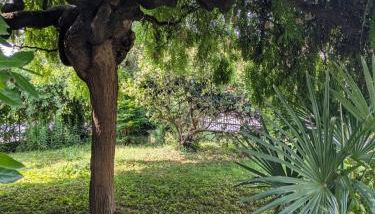 Casa la Contessa - Foto 2, Garden