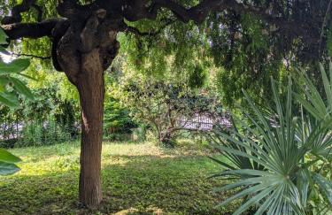 Casa la Contessa - Foto 2