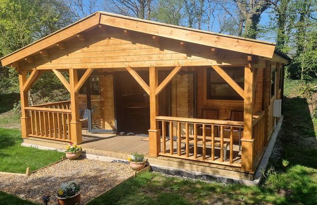 Glyndwr Vineyard - Foto 40