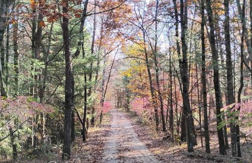 The River Cabin - Foto 61