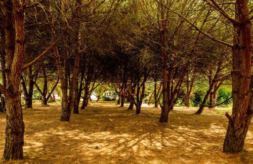 Quinta O Refúgio - Photo 43