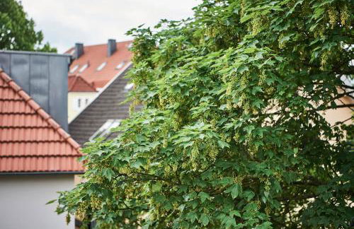 Boardinghome Oldenburg - Photo 67