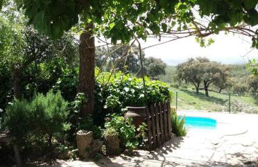 Monte Abaixo - Foto 8