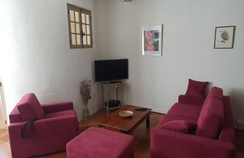 Vitis Vinifera - Foto 4