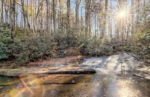 The Spotted Owl - Foto 24