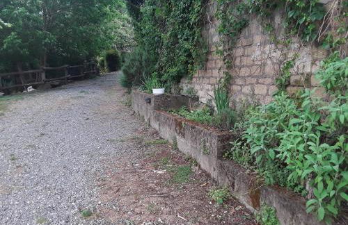 Agriturismo Il Sentiero - Foto 51