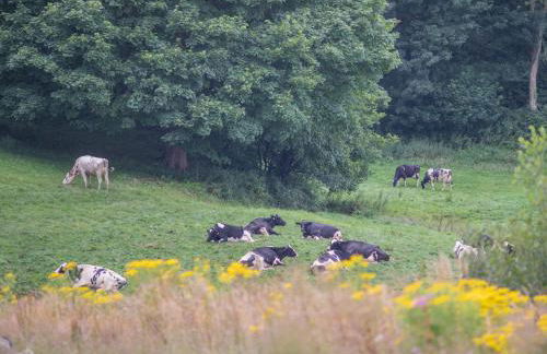 Cwmporthman Farm Cwtch-Uk34700 - Foto 24