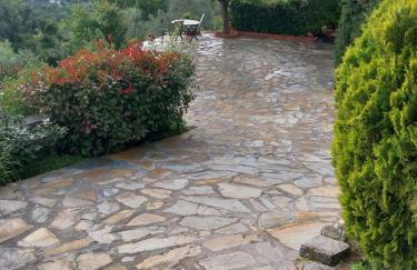 Panorama Studio Afetes - Photo 16