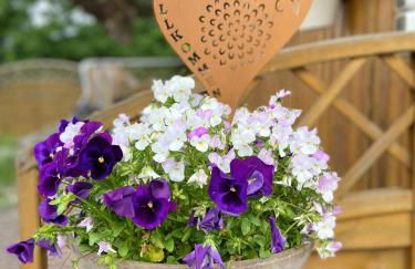 Ferienhaus bei Engel - Foto 28