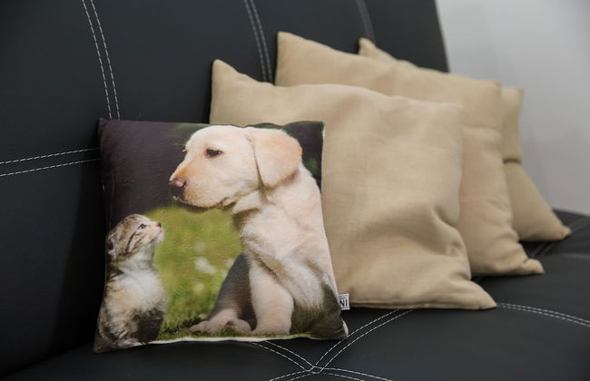 Izvijačica Suite - Foto 20