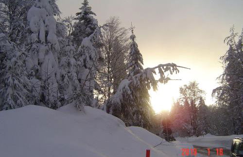 Ferienwohnung im Haus Christine - Foto 15