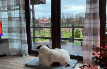 Krecia Dolina - Kaszubskie Wzgórza - Foto 41