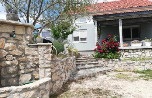 Apartmani Goga - Foto 16