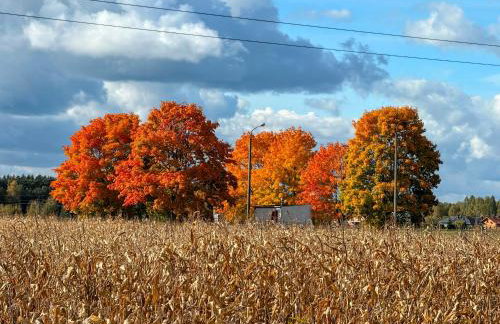 Siedlisko pod Kasztanem - Foto 49