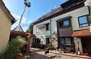 Zentrale Fewo zwischen Heidelberg und Mannheim - Foto 25