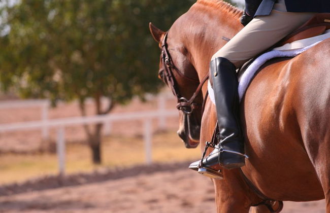 Diana Inn Accomodations - Foto 30