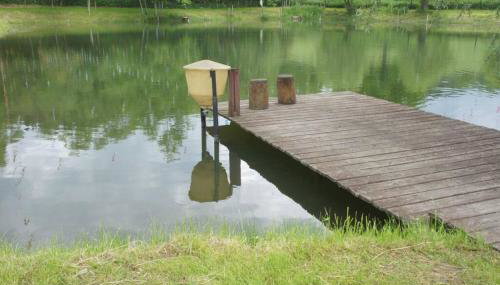 Agroturystyka Ropienka - Foto 5