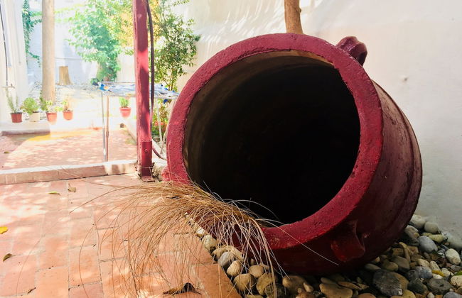 Sunrise Stef - Foto 13