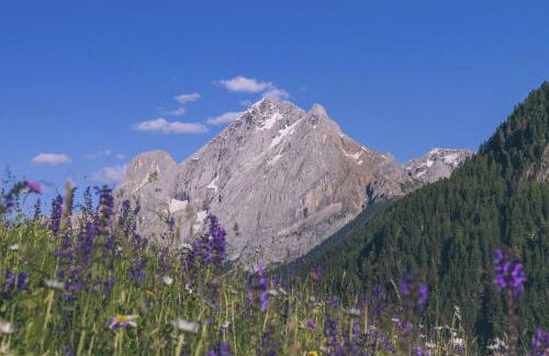 Appartamenti Césa Col De Pin - Foto 31