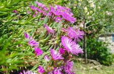 La Casetta della Nonna - Foto 23