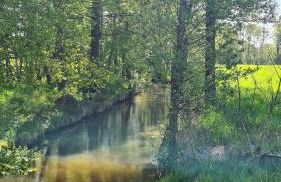 Vierseitenhof Appartements - Foto 36