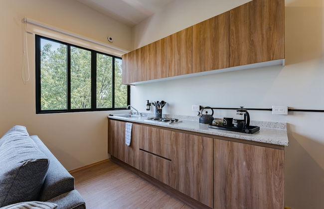 Mariano Escobedo Apartments by VH - Foto 50