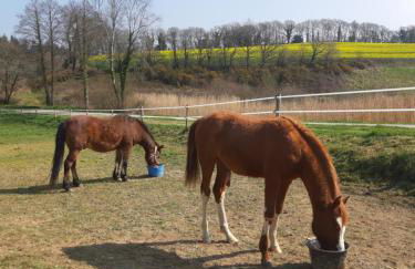 Gîte de Bealieu - Photo 14