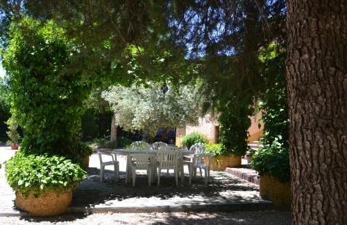 Chalet rural en La Mancha con jardin y piscina privados - Photo 30