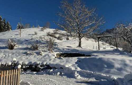 Alpe Sonnenruh - Photo 28