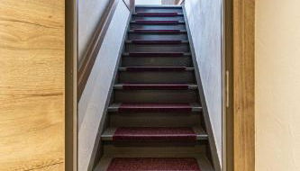 Trollenhof im Allgäu - Ferienwohnungen Säuling - Foto 3