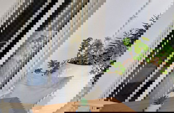 Hotel Dionysis Studios - Foto 52