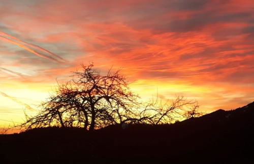 Alpine Lodge Wertach - Photo 21