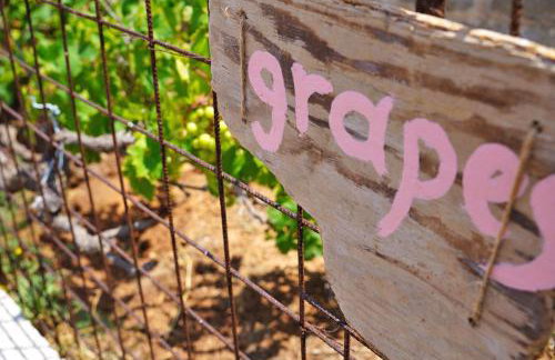 Figs & Grapes * Cosy small house * Marmari * South Evia - Foto 26