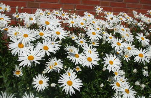 Kajüte 23 - Foto 15