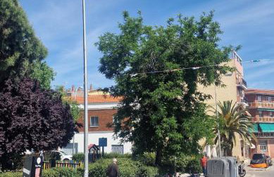 Private pool and patio, a true Oasis in Madrid - Foto 5