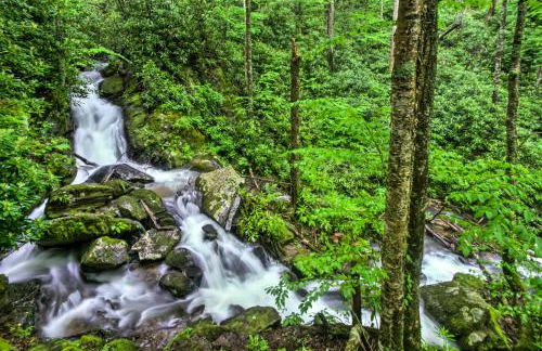 Mountain View Boone Home Close to Blue Ridge Pkwy! - Foto 28